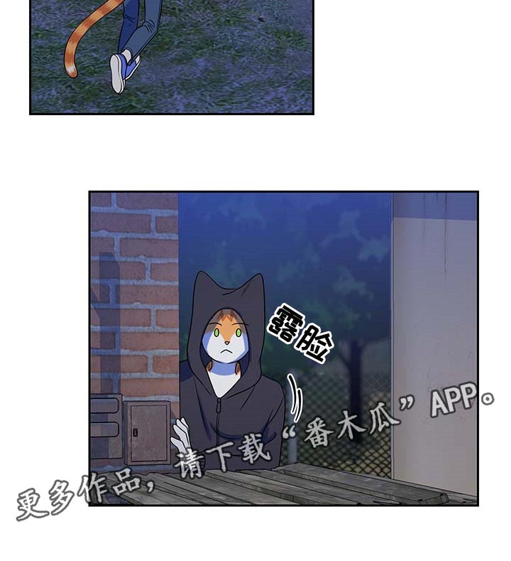 第38章：罪有应得19