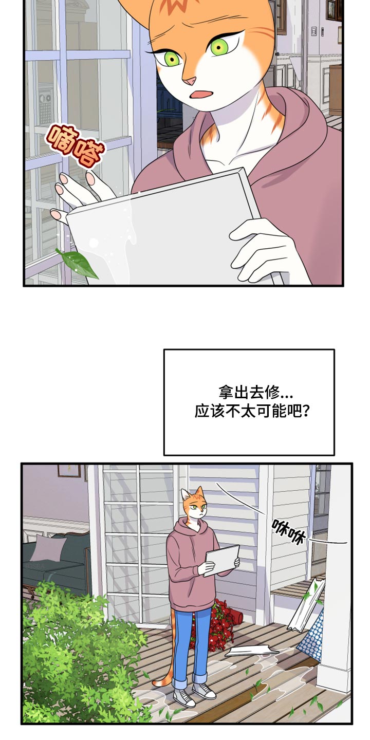 第89章：【第二季】乱七八糟17