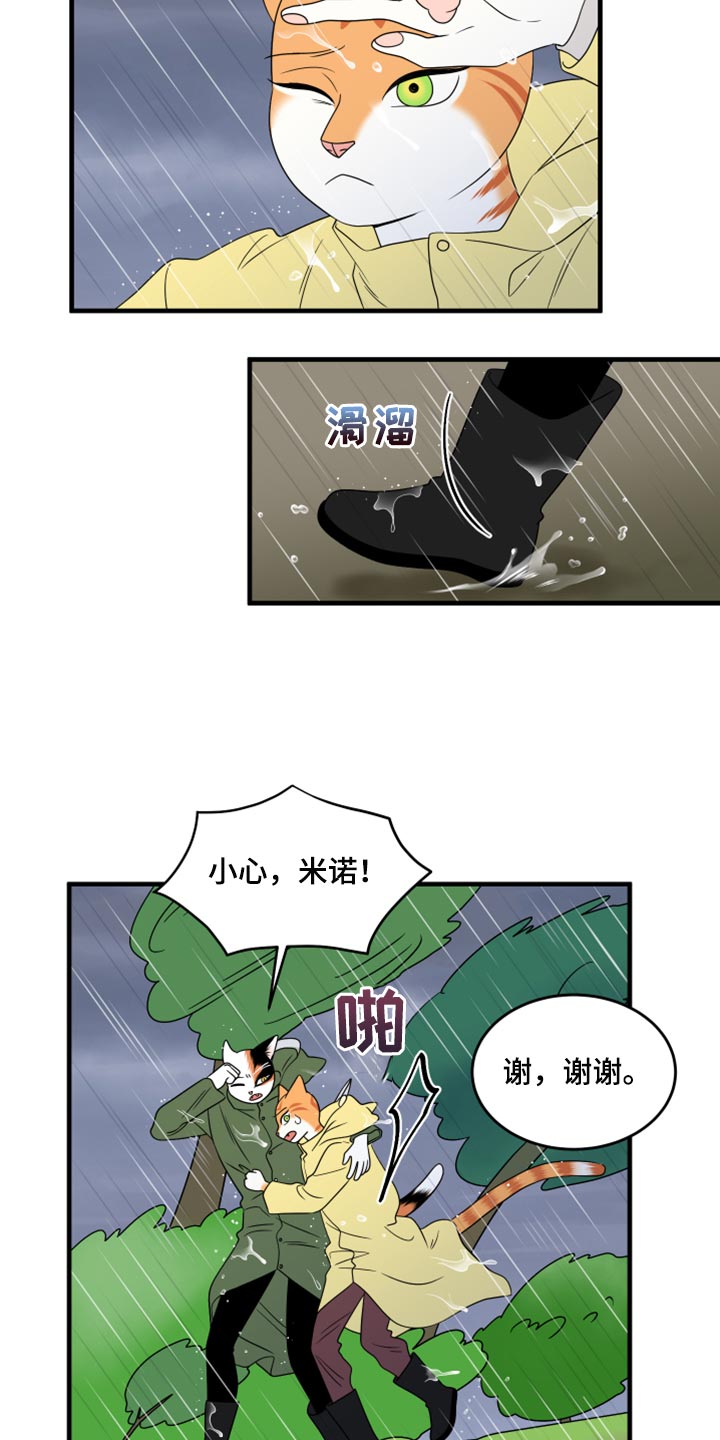 第88章：【第二季】台风8