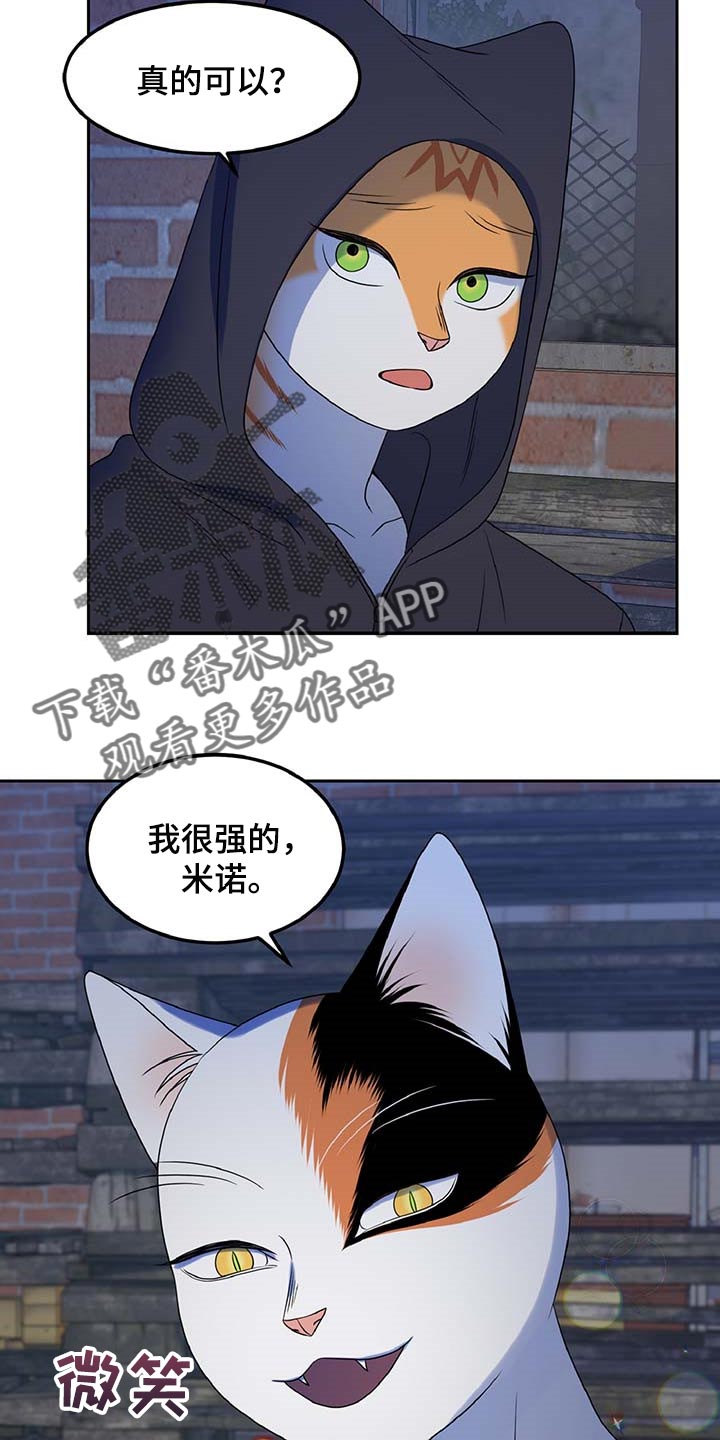 第37章：我很强的14