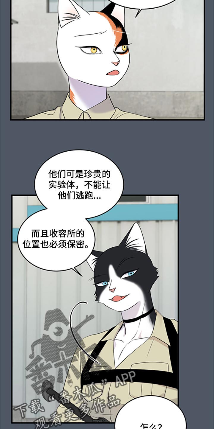 第79章：【第二季】傻瓜20