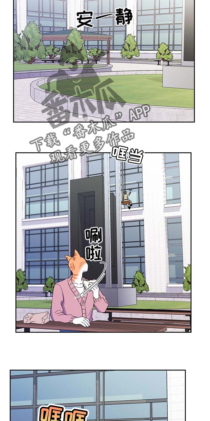 第41章：重新回到平静的生活18