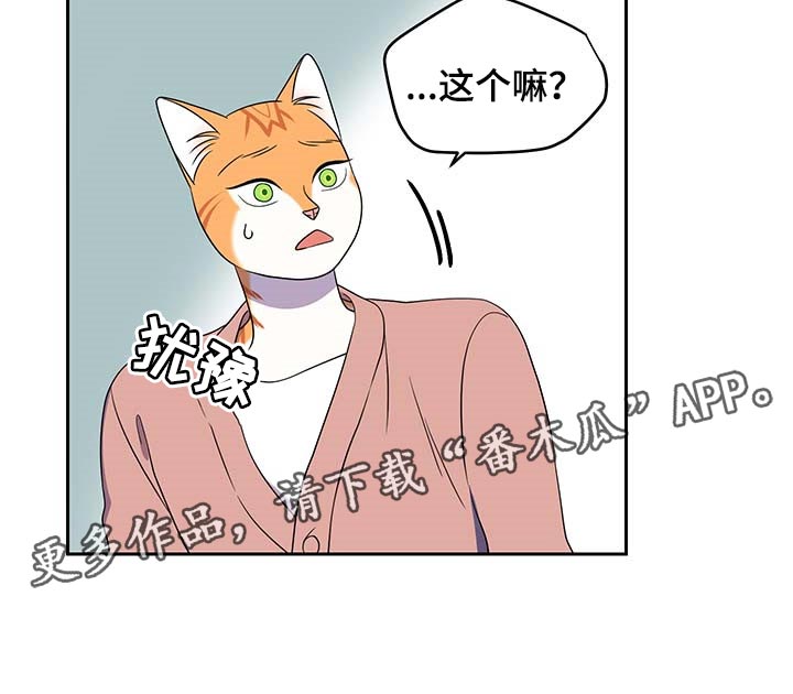 第41章：重新回到平静的生活22