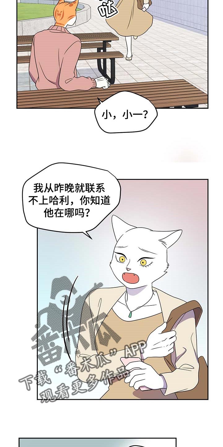 第41章：重新回到平静的生活21