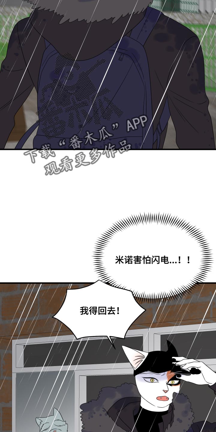 第109章：【第二季】我要回岛上11