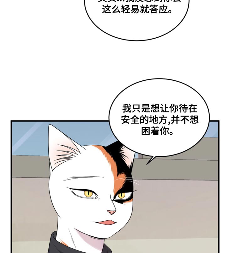 第102章：【第二季】不想困着你14