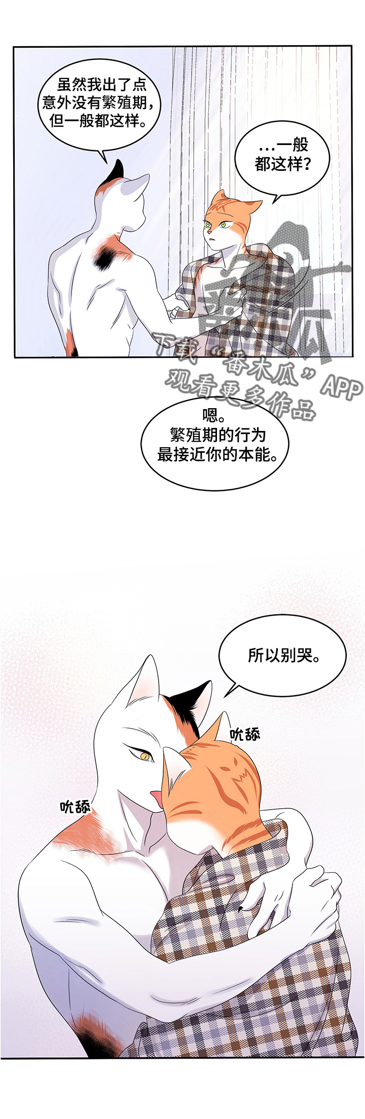 第8章：你醒了3