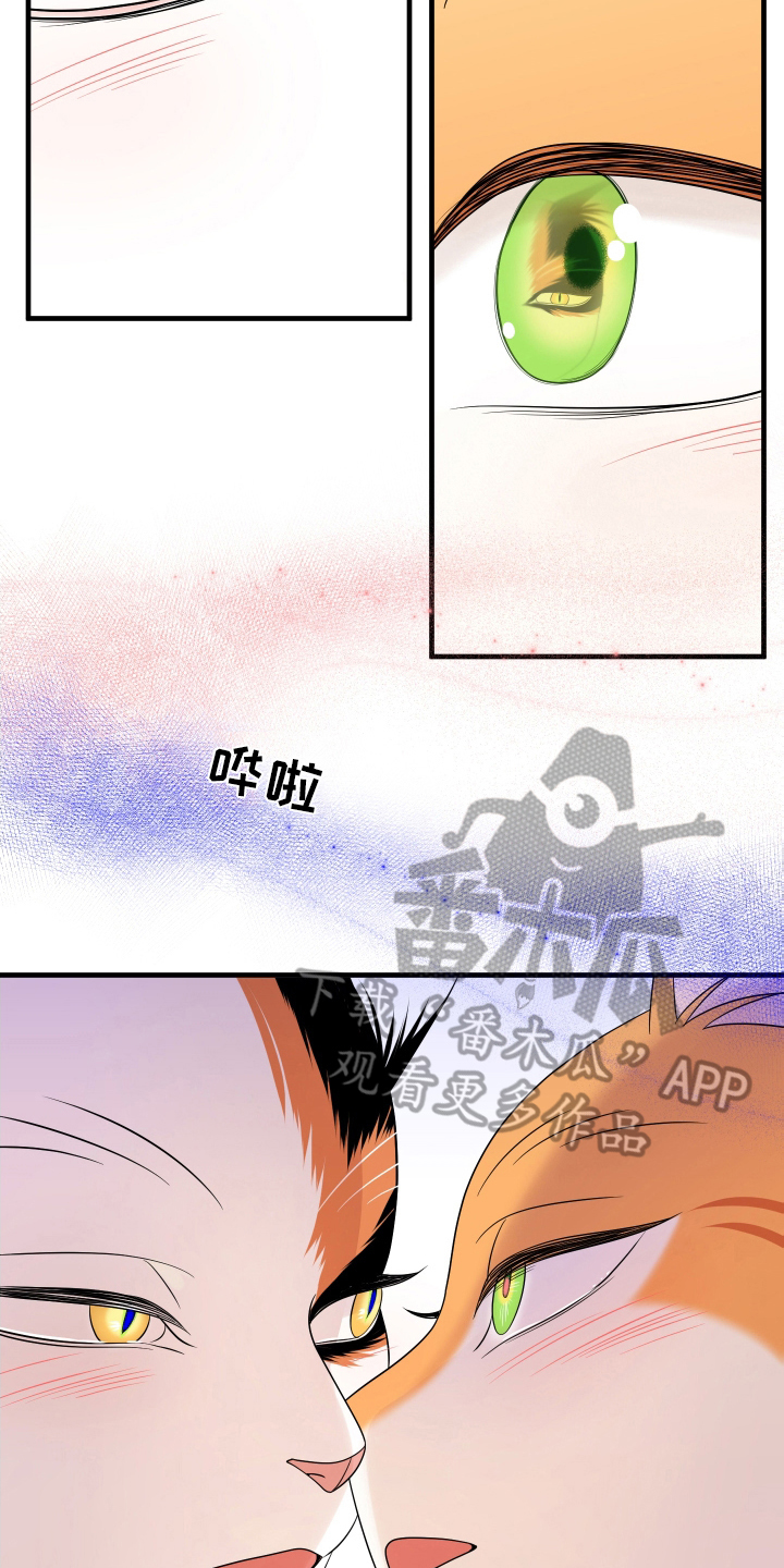 第106章：【第二季】求婚11
