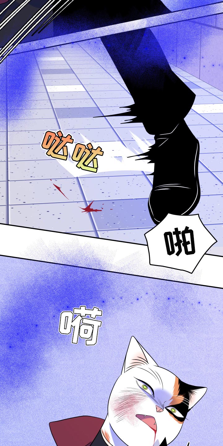 第50章：恶斗21
