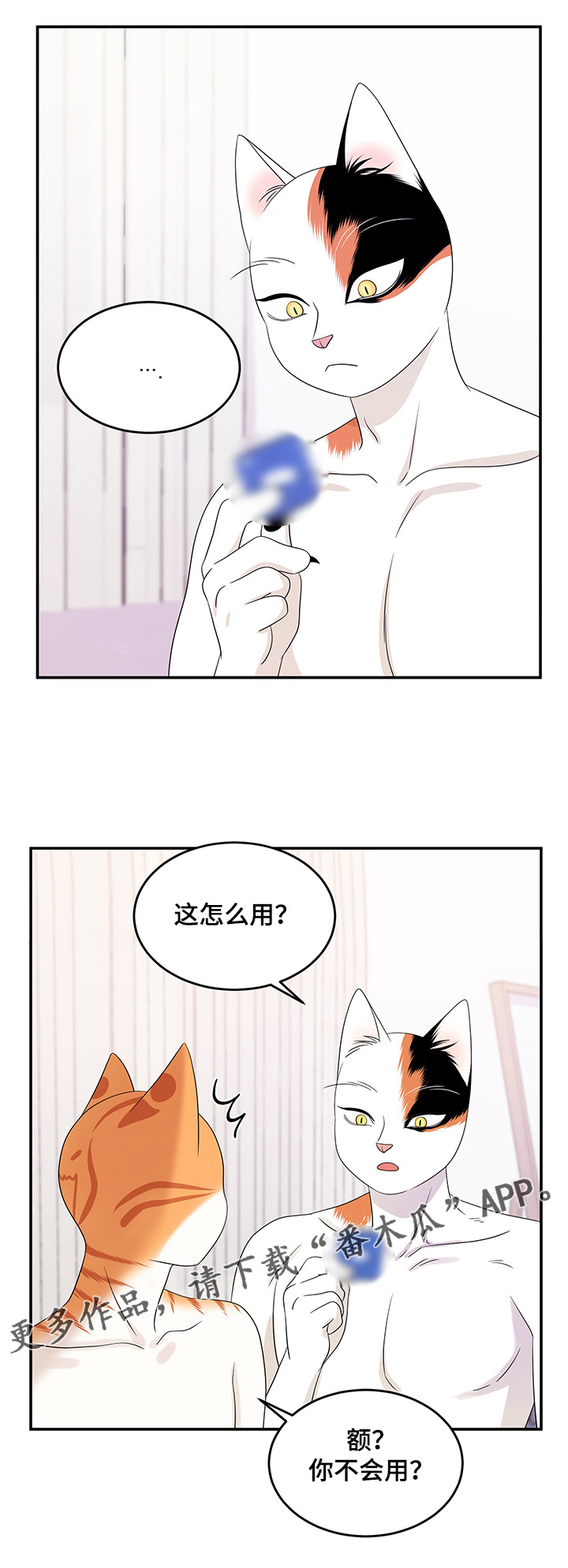 第12章：义务12