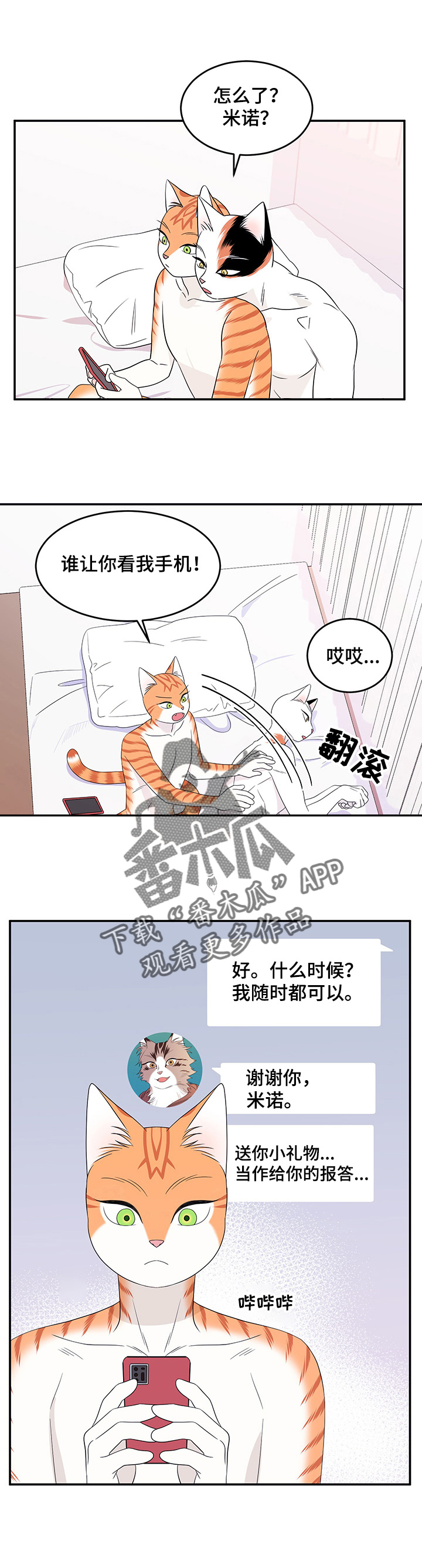 第15章：看电影5