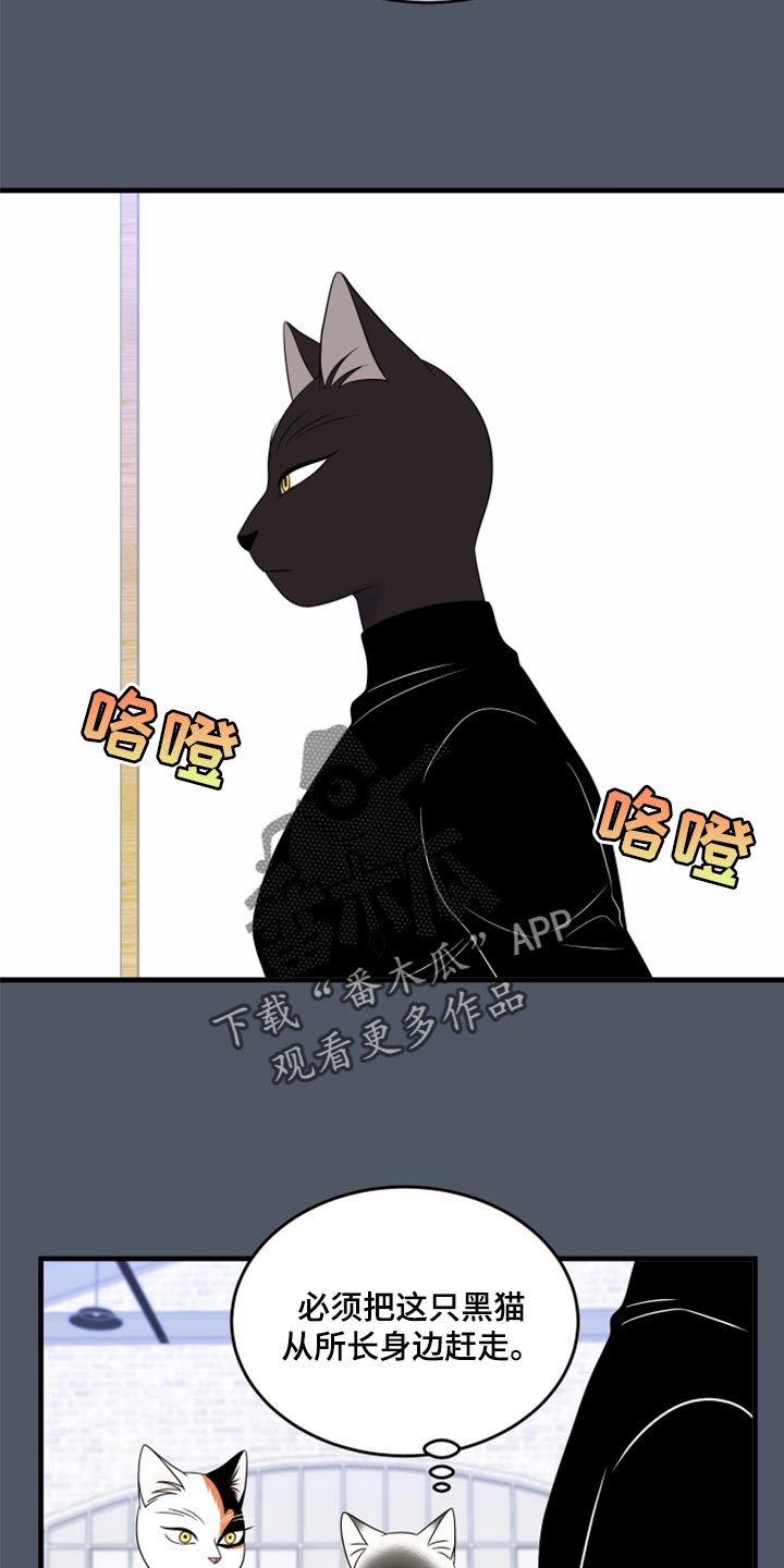 第76章：【第二季】有什么特别11