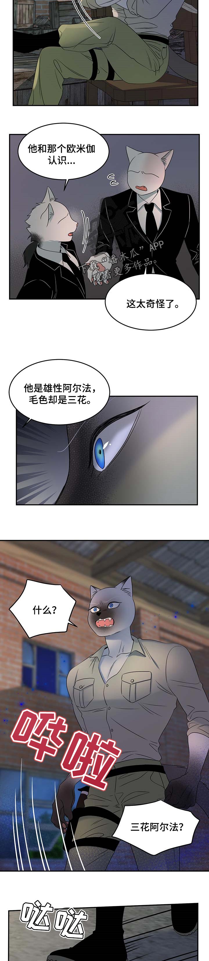 第31章：叫他出来3