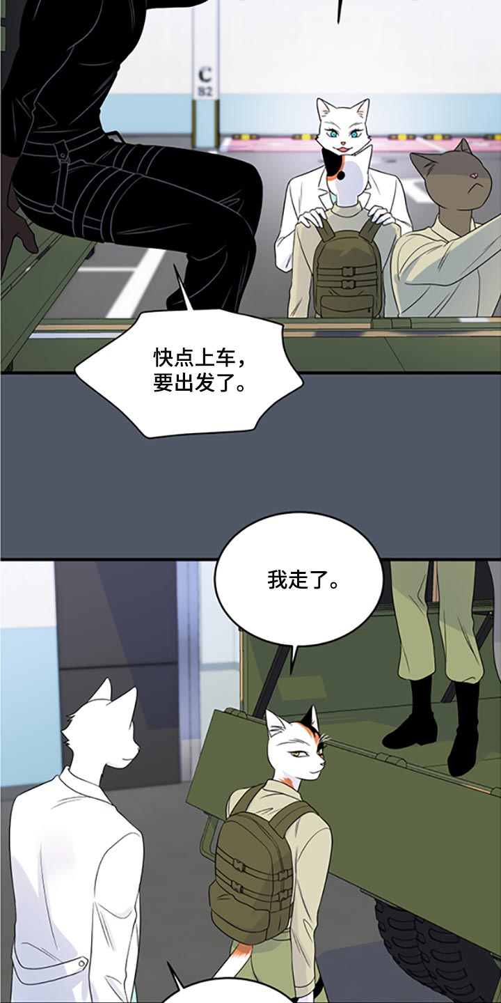 第79章：【第二季】傻瓜4