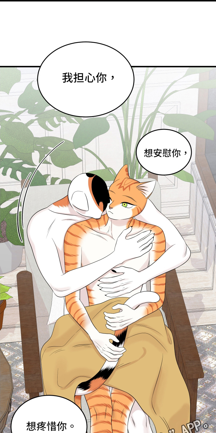 第105章：【第二季】分析15