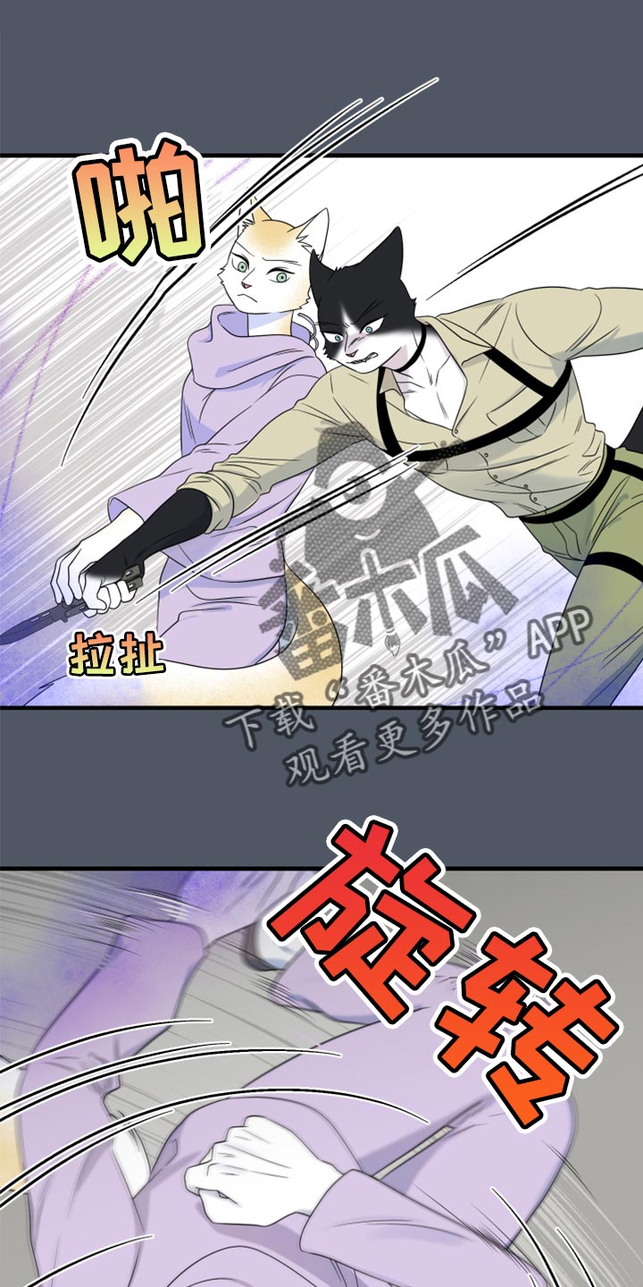 第84章：【第二季】爆炸0