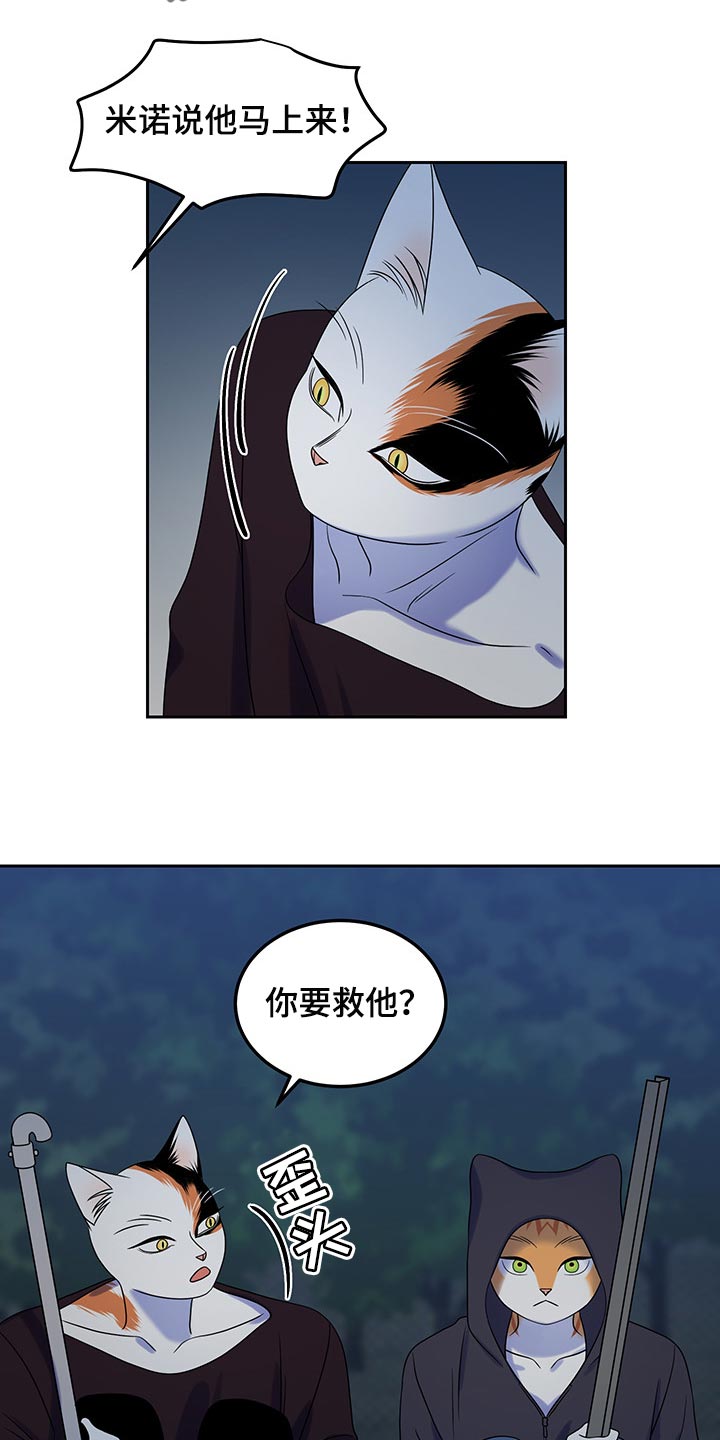 第36章：道歉9