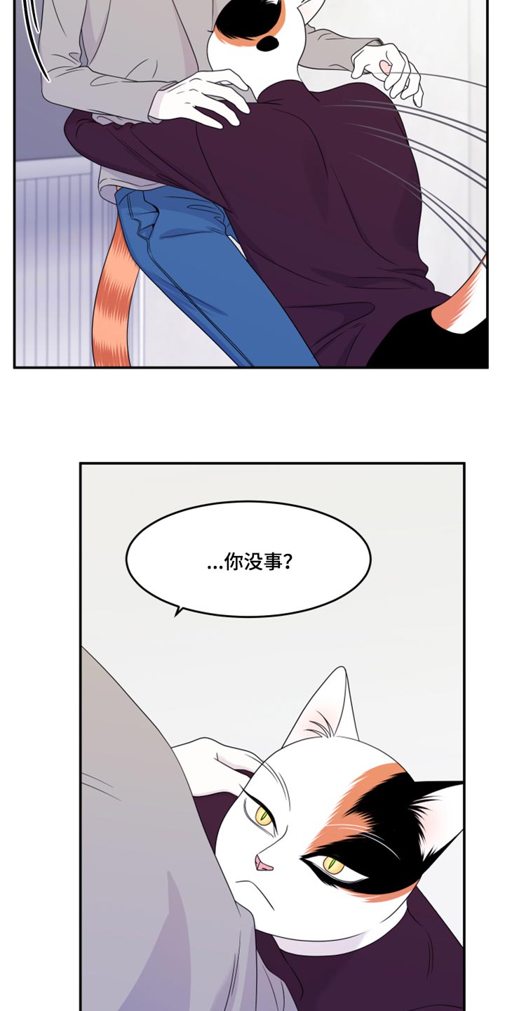 第54章：【第二季】你要丢下我?20