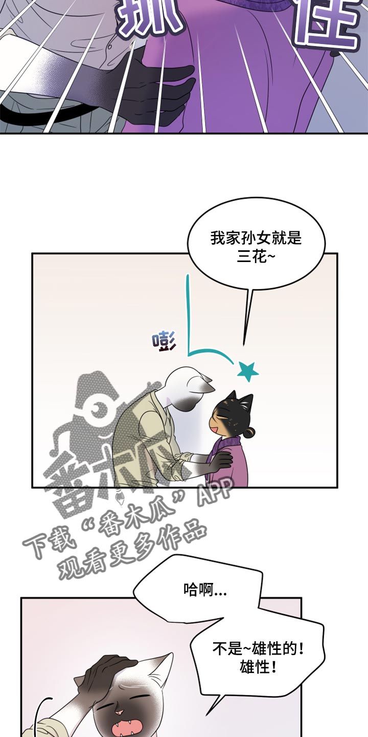 第55章：【第二季】你再坚持一下20