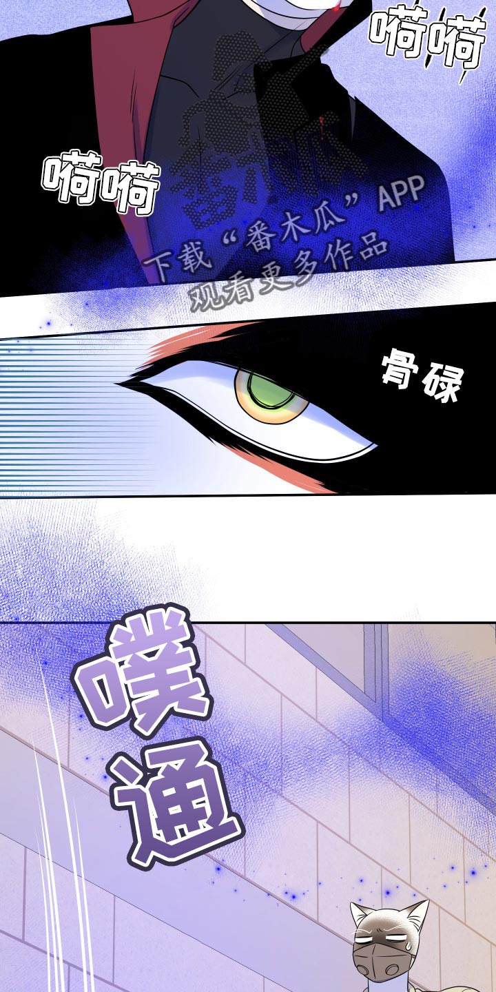 第50章：恶斗22