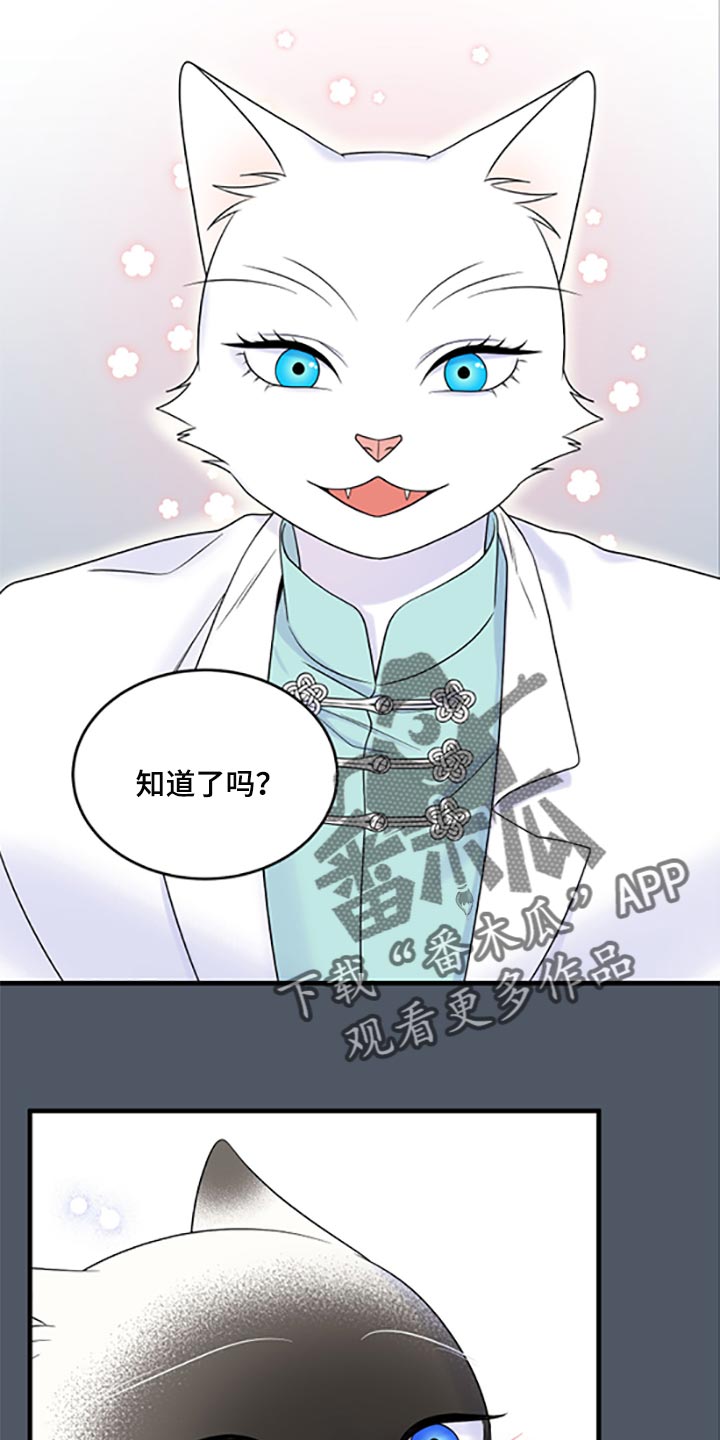 第77章：【第二季】一定要在一起！16