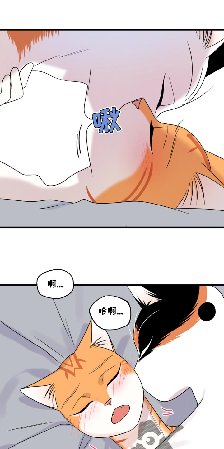 第91章：【第二季】暴走之前14