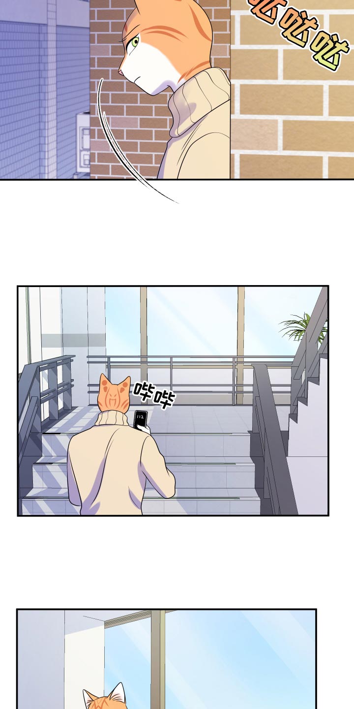 第50章：恶斗1