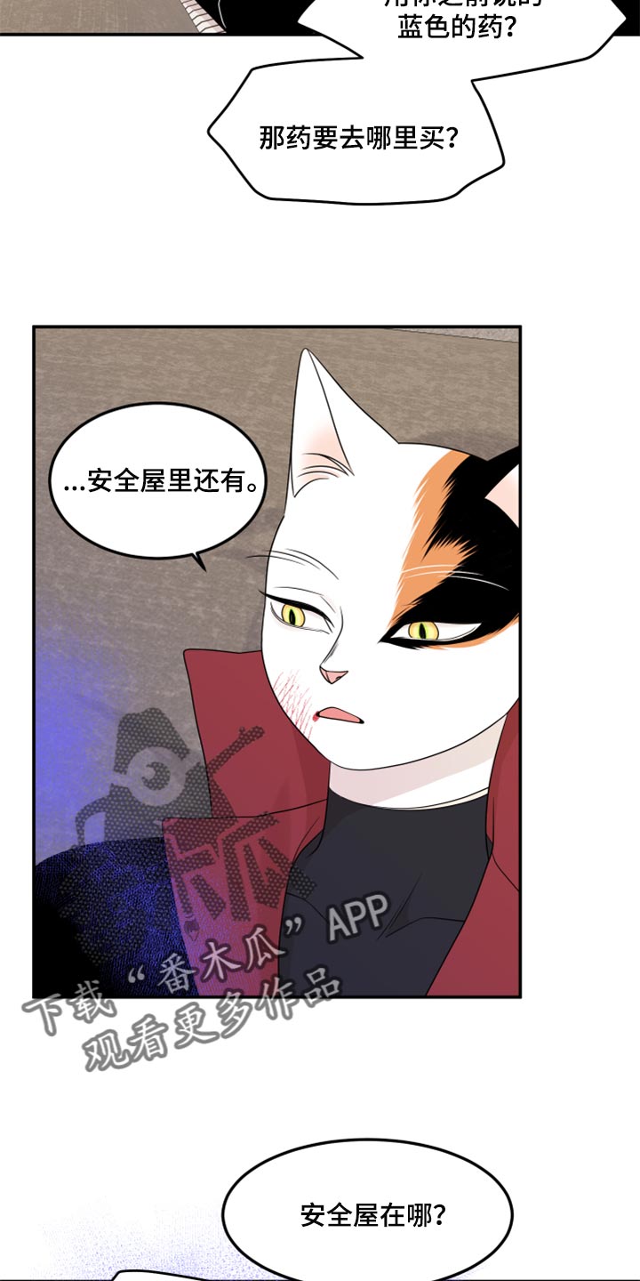 第52章：我的人生我做主（第一季完结）15