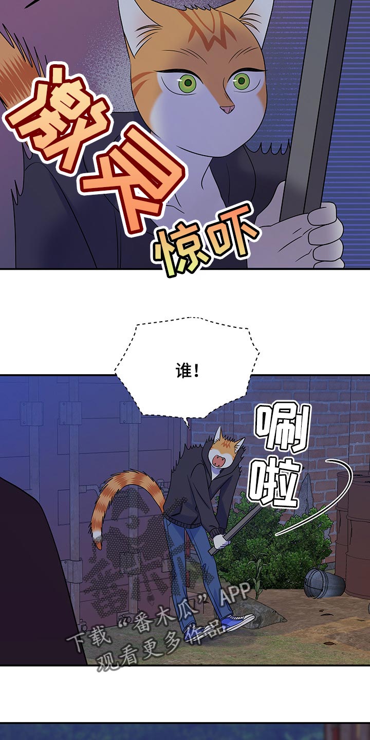 第35章：一个人很危险13