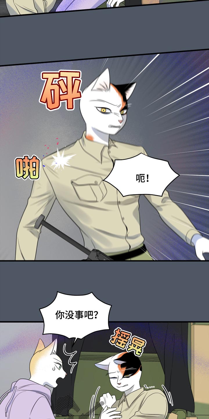 第81章：【第二季】中弹21