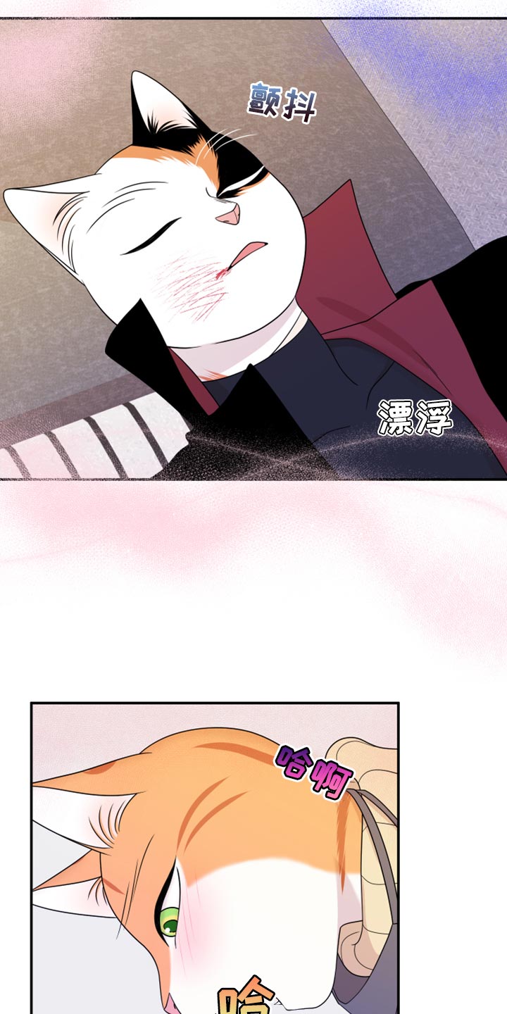 第51章：决定15