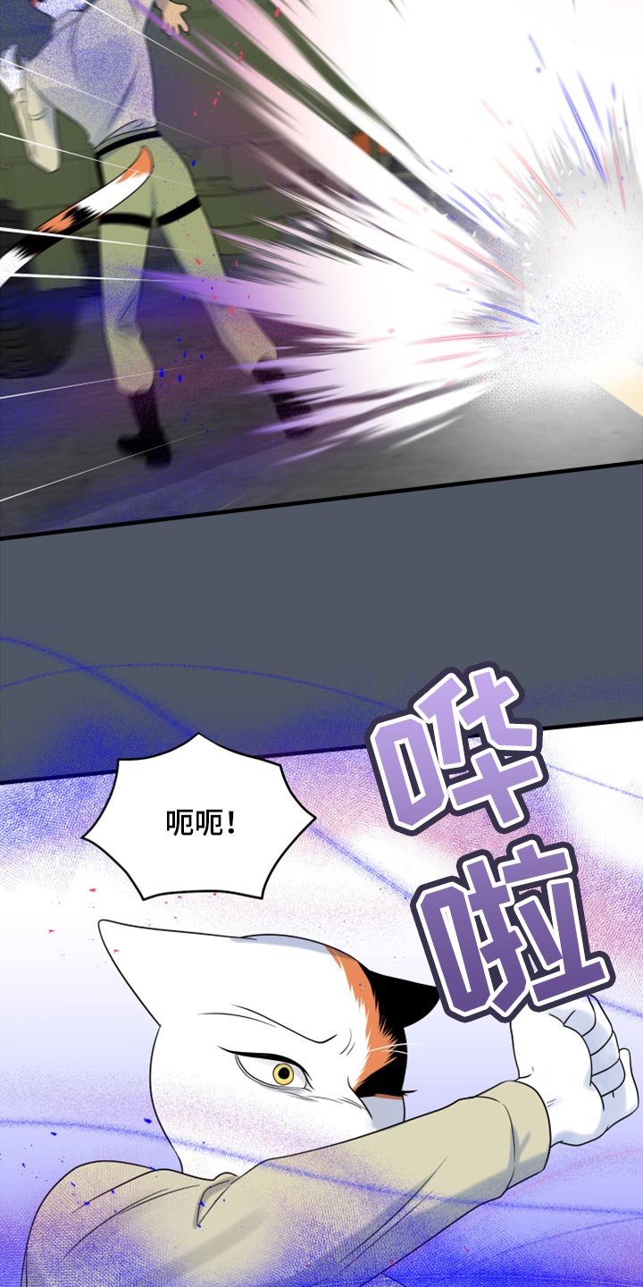 第81章：【第二季】中弹7