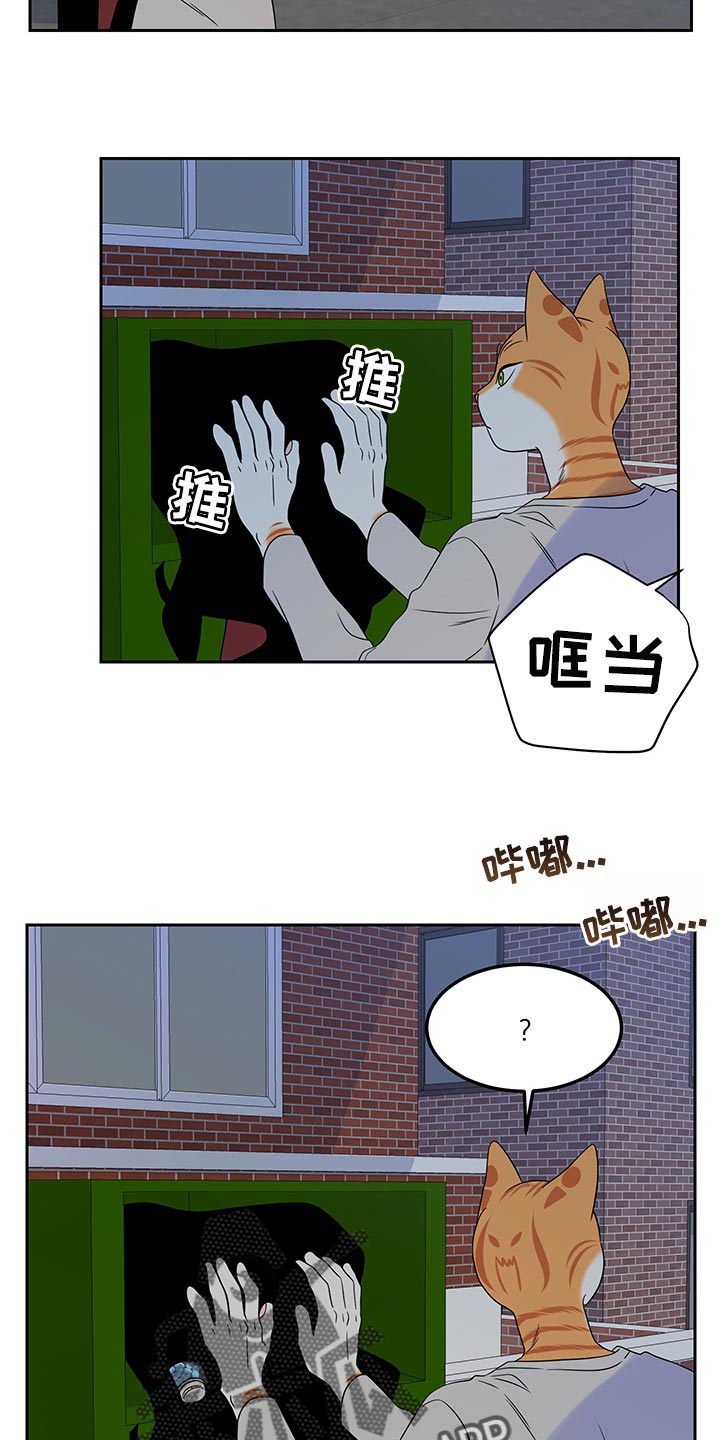 第43章：世道不太平1