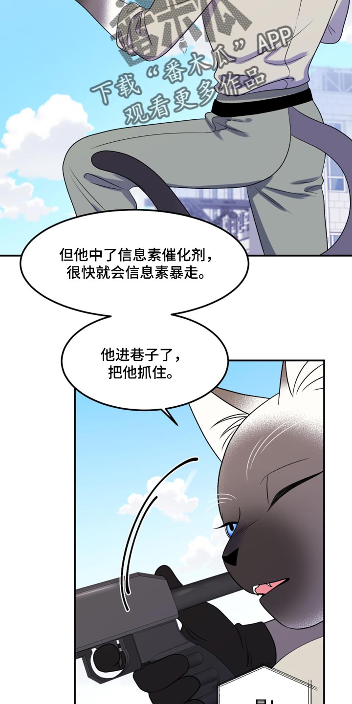 第49章：让我保护你6