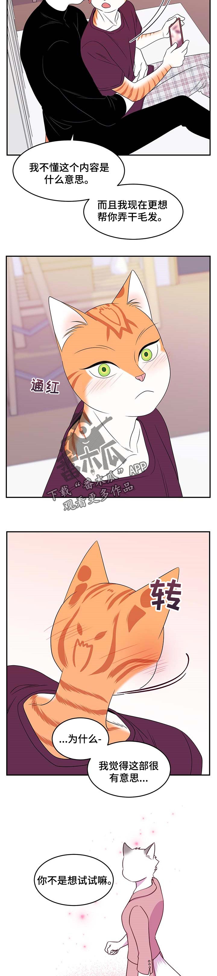 第17章：早去早回3