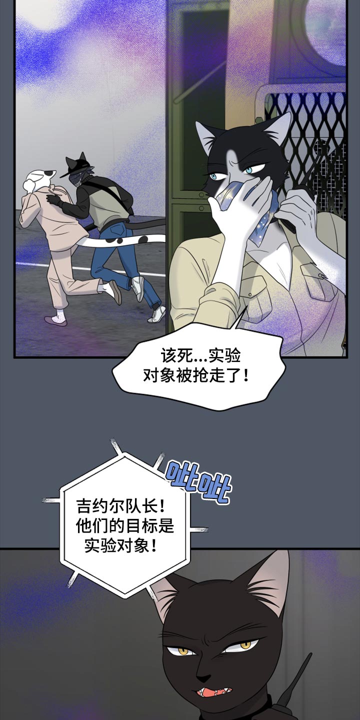 第81章：【第二季】中弹12