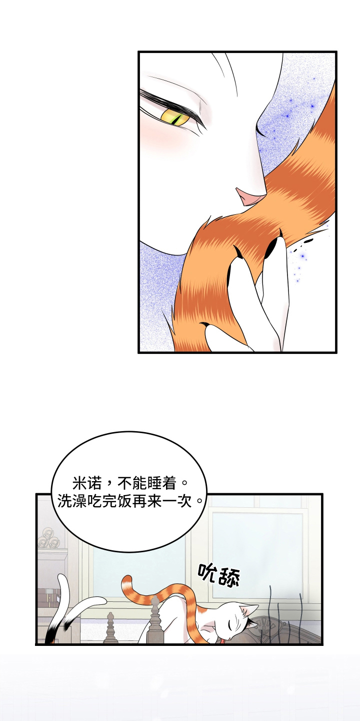 第105章：【第二季】分析3