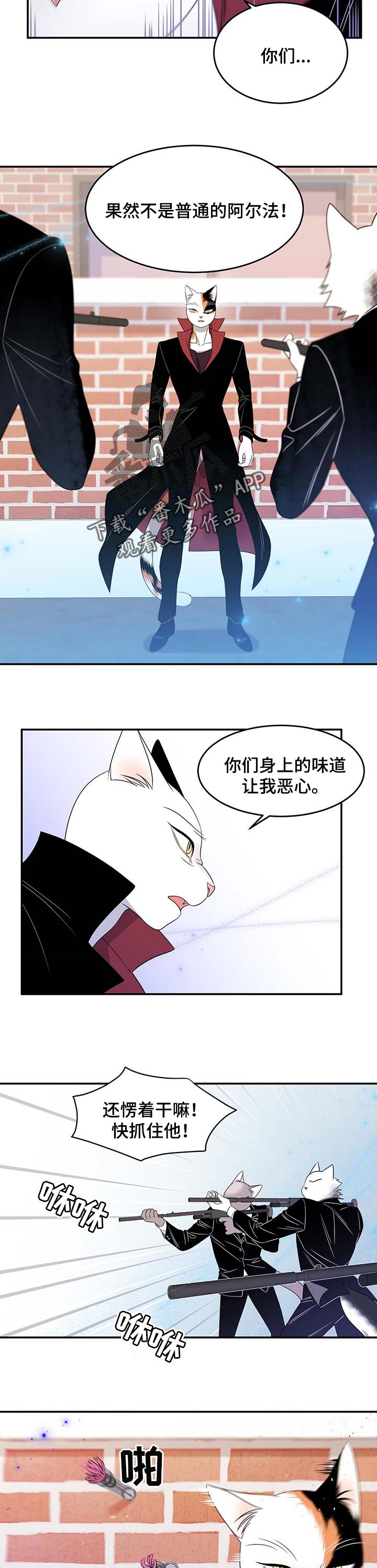 第28章：奇特3