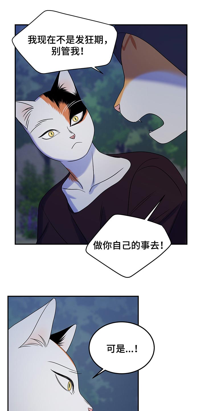 第36章：道歉12