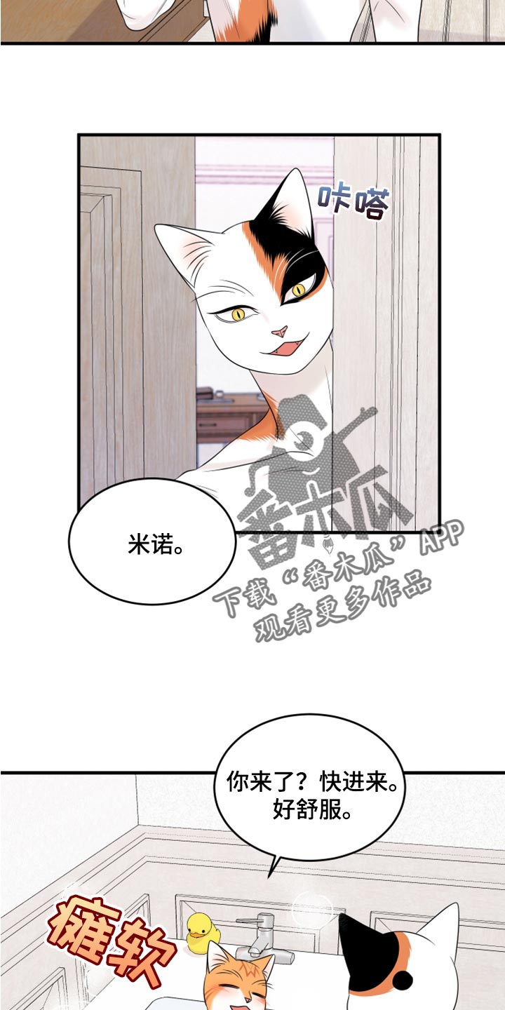 第69章：【第二季】责任与义务6