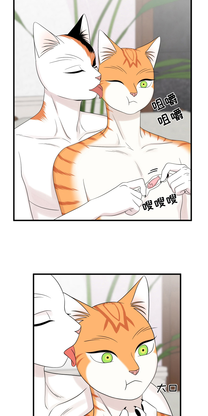 第105章：【第二季】分析6