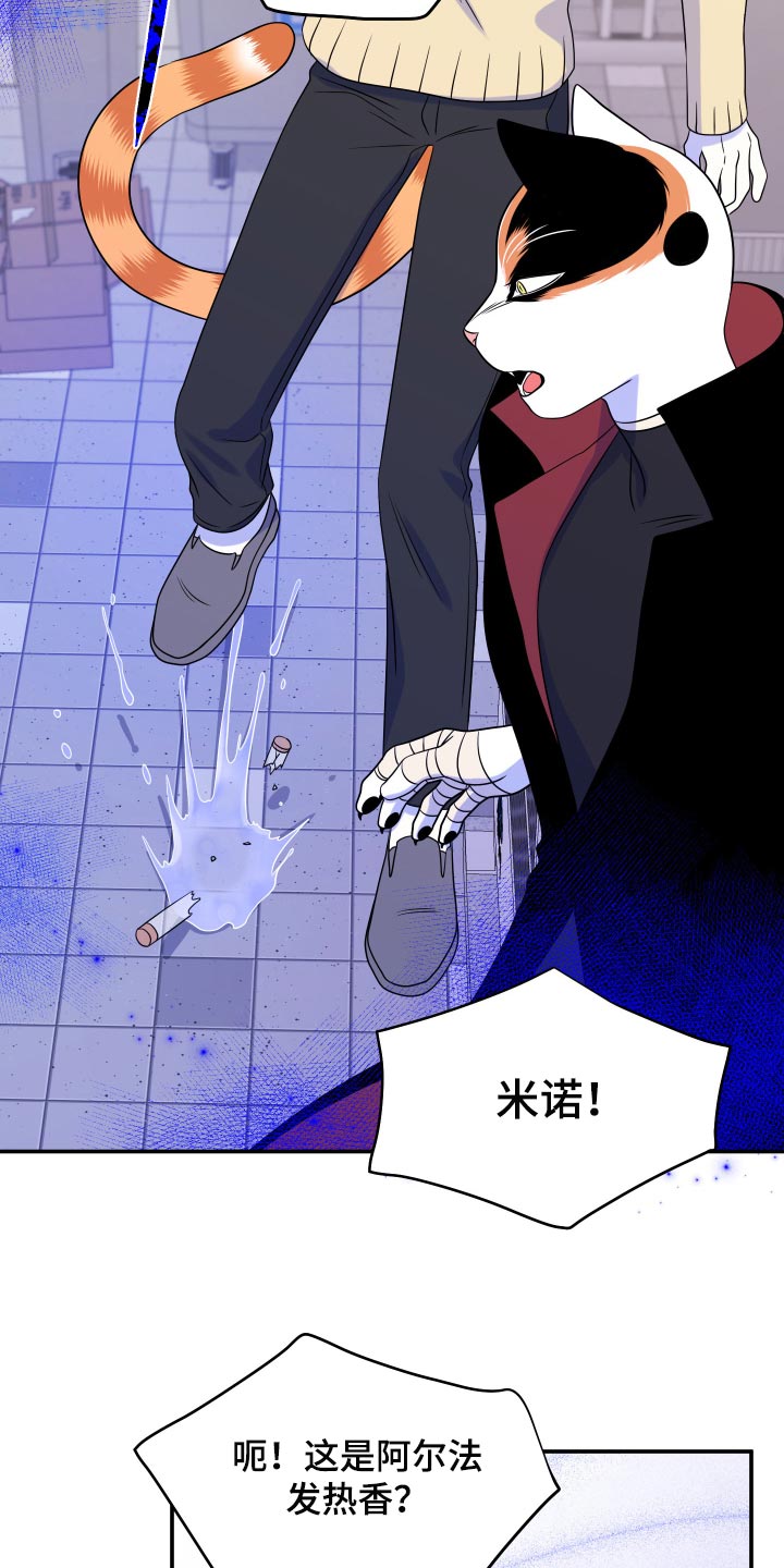 第49章：让我保护你20