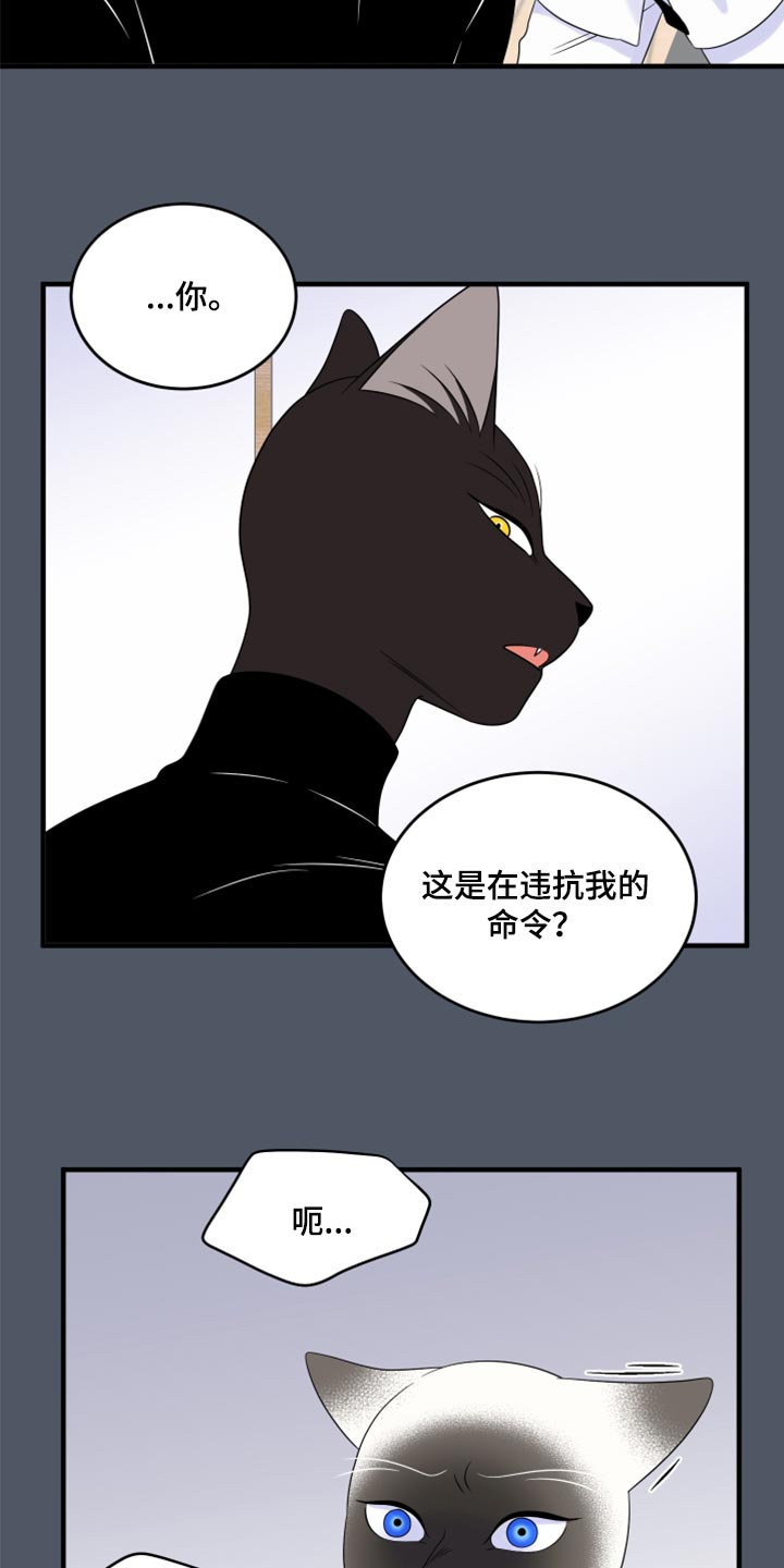 第76章：【第二季】有什么特别21