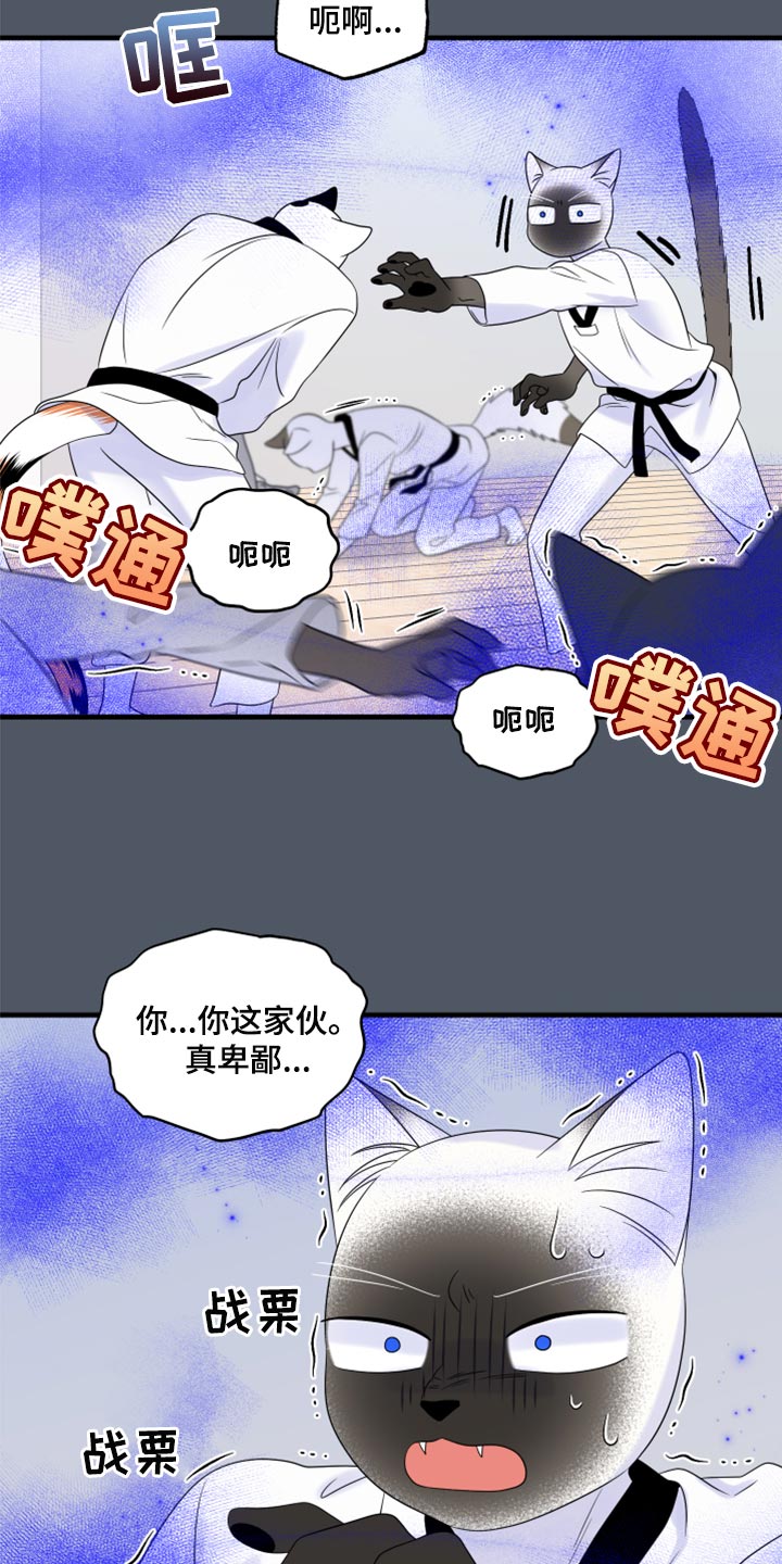 第76章：【第二季】有什么特别7