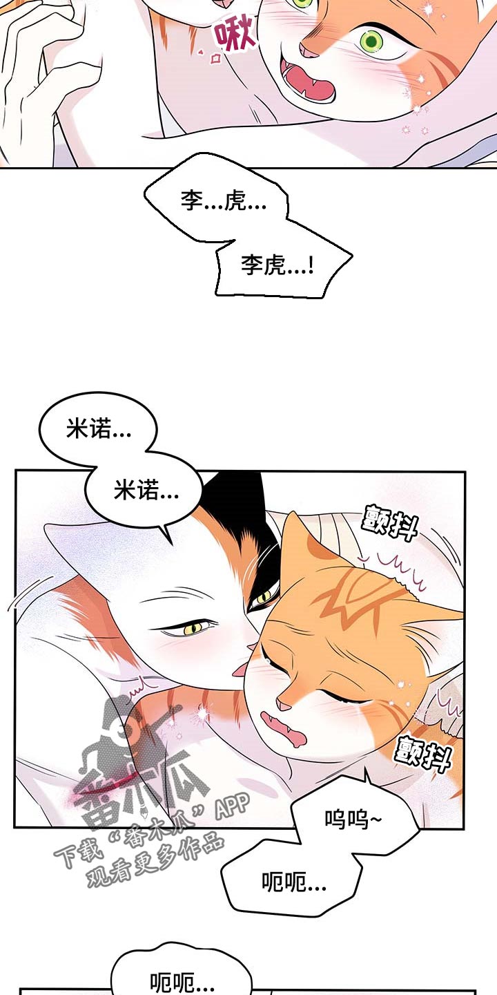 第47章：好好看着你15
