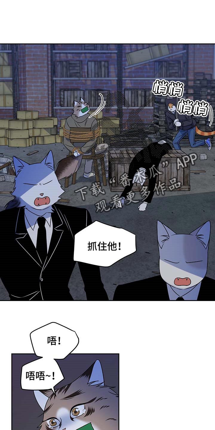 第38章：罪有应得0
