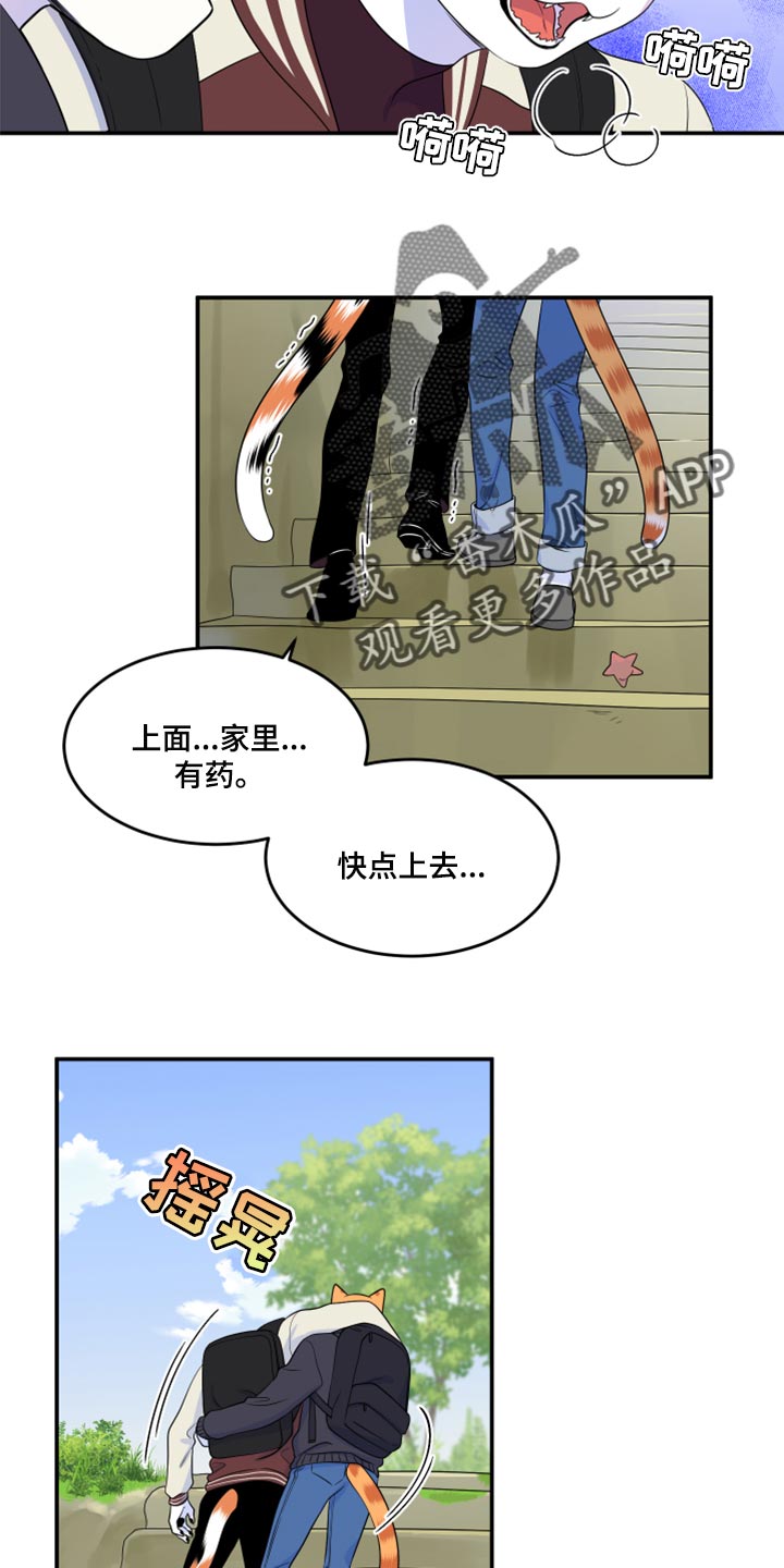 第60章：【第二季】失去理智16