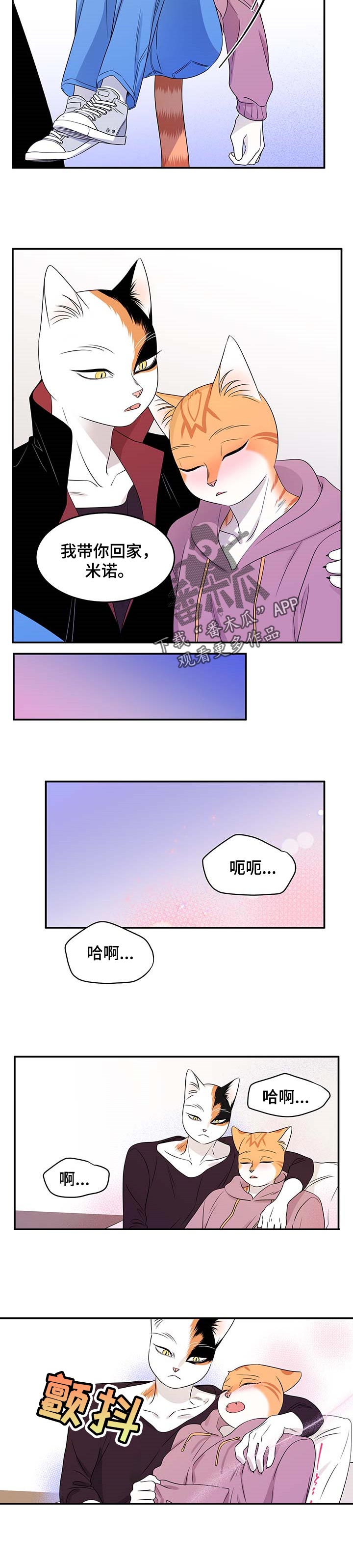 第29章：我带你回家2