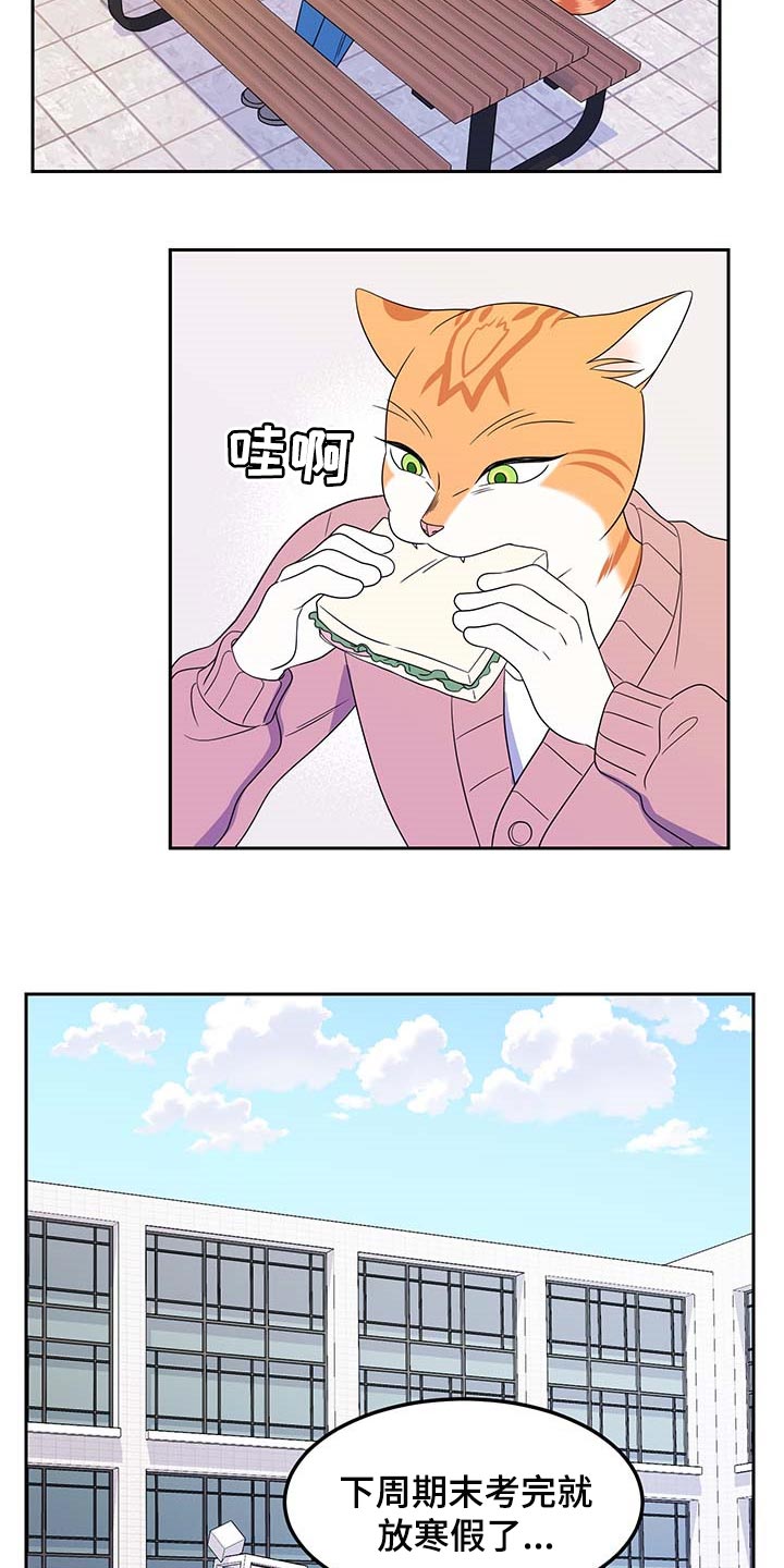 第41章：重新回到平静的生活14