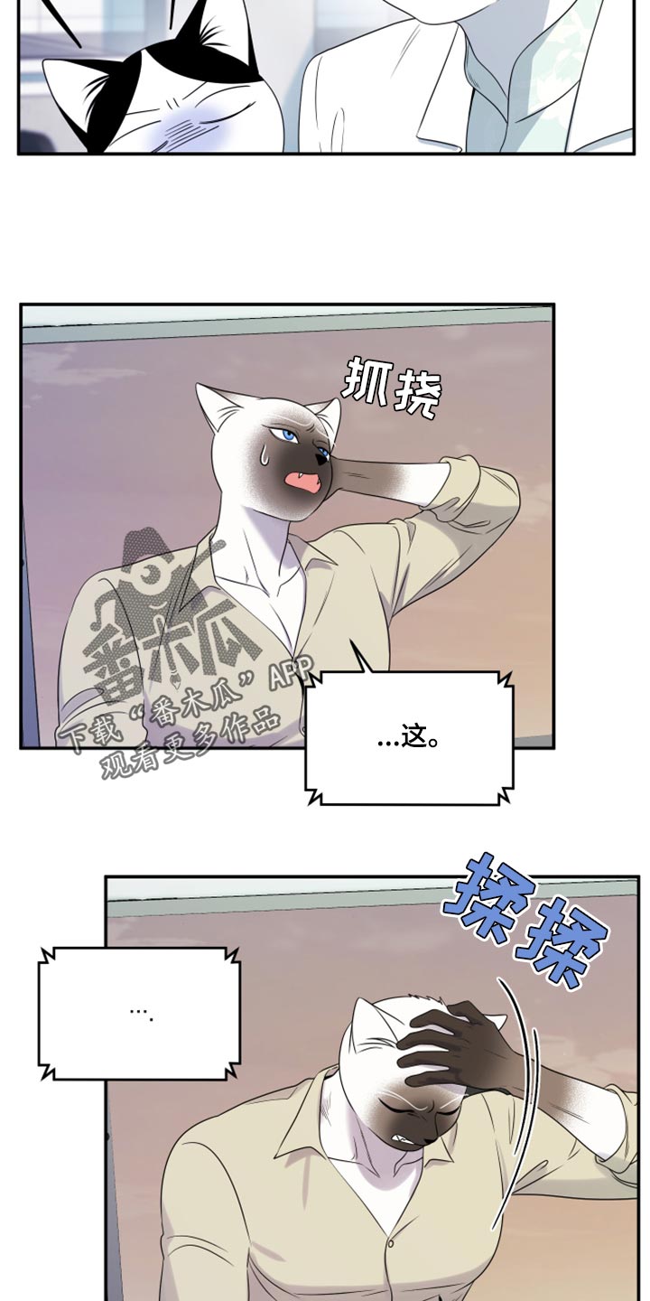 第57章：【第二季】新来的9